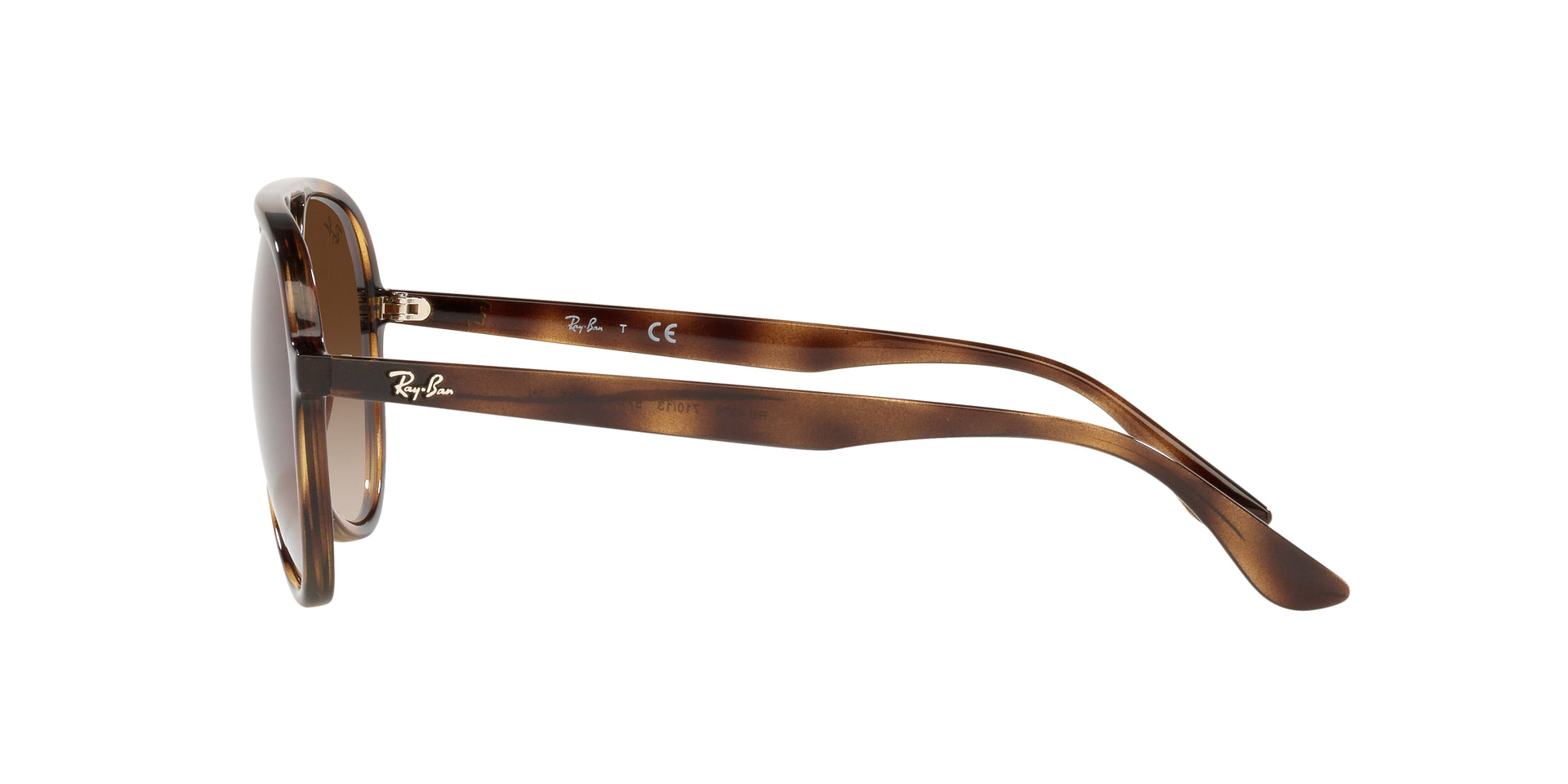 Ray-Ban RB4376