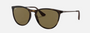 Ray-Ban Junior Erika Kids RJ9060S 700673 phantos sunglasses for kids in full rim injected, with matte havana frame, and brown lenses. 50mm in lens size, 15mm in bridge size, and 130mm in temple length.