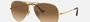 Ray-Ban Aviator Metal II RB3689 914751 aviator sunglasses for unisex in full rim metal, with gold frame, and light brown gradient lenses. 58mm in lens size, 14mm in bridge size, and 140mm in temple length.