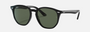 Ray-Ban Junior RJ9070S 100/71 irregular sunglasses for kids in full rim injected, with polished black frame, and dark green lenses. 46mm in lens size, 16mm in bridge size, and 130mm in temple length.
