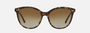 Bvlgari BV8235 504/T5 cat-eye sunglasses for women in full rim plastic, with havana frame, and brown gradient lenses. 55mm in lens size, 17mm in bridge size, and 140mm in temple length.