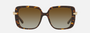 Bvlgari BV8237B 504/T5 square sunglasses for women in full rim plastic, with havana frame, and gradient brown lenses. 55mm in lens size, 17mm in bridge size, and 140mm in temple length.