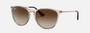 Ray-Ban Junior Erika Kids RJ9060S 710813 phantos sunglasses for kids in full rim injected, with transparent light brown frame, and gradient brown lenses. 50mm in lens size, 15mm in bridge size, and 130mm in temple length.