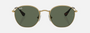 Ray-Ban Junior Rob Kids RJ9572S 223/71 irregular sunglasses for kids in full rim metal, with polished arista gold frame, and green lenses. 48mm in lens size, 19mm in bridge size, and 130mm in temple length.