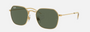 Ray-Ban Junior RJ9594S 223/71 irregular sunglasses for kids in full rim metal, with gold frame, and dark green lenses. 49mm in lens size, 19mm in bridge size, and 130mm in temple length.
