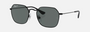Ray-Ban Junior RJ9594S 287/81 irregular sunglasses for kids in full rim metal, with polished black frame, and dark grey polarized lenses. 49mm in lens size, 19mm in bridge size, and 130mm in temple length.
