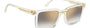 Carrera Victory C 02/S 900 rectangular sunglasses for men in full rim plastic, with crystal frame, and gradient grey gold mirror lenses. 54mm in lens size, 19mm in bridge size, and 145mm in temple length.