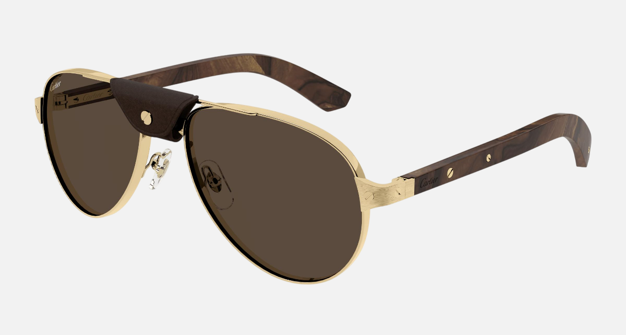 Cartier CT0495S