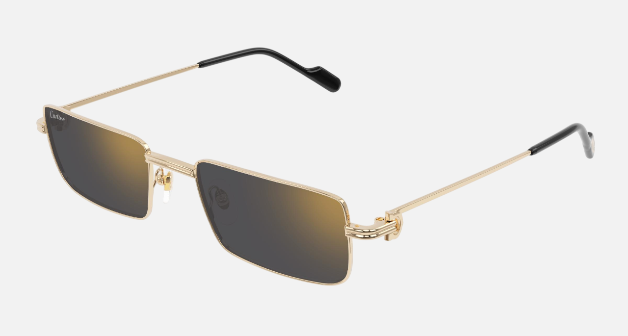 Cartier CT0501S