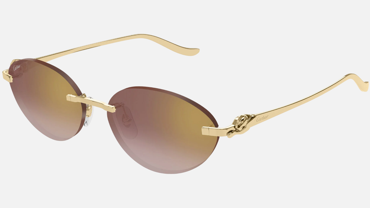 Cartier CT0504S