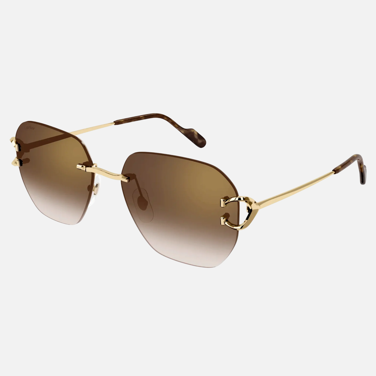 Cartier CT0394S