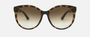 Gucci GG0636SK 002 square sunglasses for women in full rim plastic, with havana frame, and brown gradient lenses. 56mm in lens size, 17mm in bridge size, and 150mm in temple length.