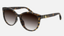 Gucci GG0636SK 002 square sunglasses for women in full rim plastic, with havana frame, and brown gradient lenses. 56mm in lens size, 17mm in bridge size, and 150mm in temple length.