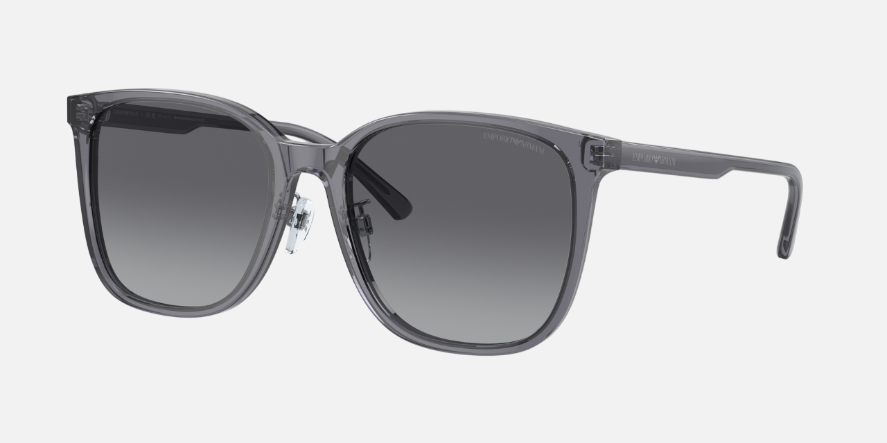 Emporio Armani EA 4206D