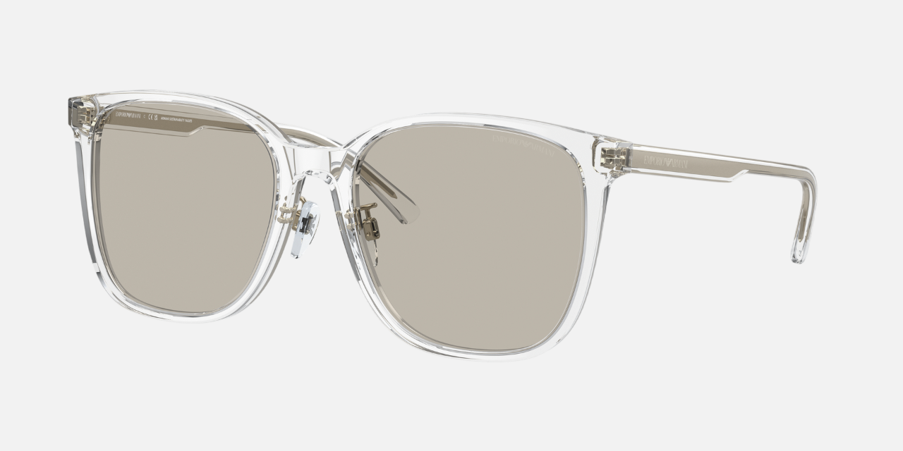 Emporio Armani EA 4206D