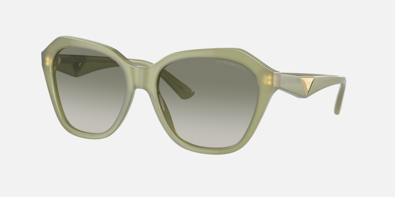 Emporio Armani EA 4221