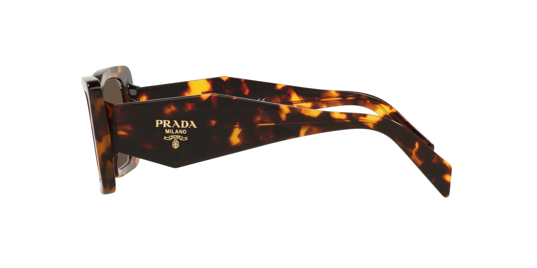 Prada PR 08YS 01V8C1 butterfly sunglasses for women in full rim acetate, with havana frame, and dark brown lenses. 51mm in lens size, 18mm in bridge size, and 145mm in temple length.