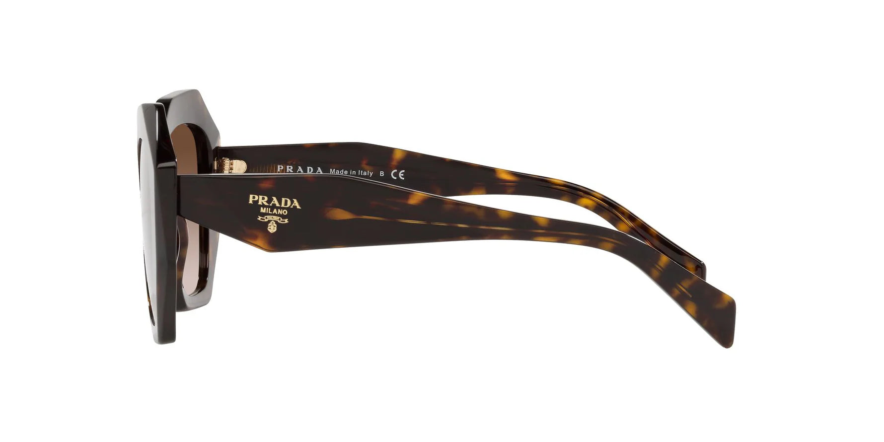 Prada PR 16WS 2AU6S1 irregular sunglasses for women in full rim acetate, with havana frame, and brown gradient lenses. 53mm in lens size, 20mm in bridge size, and 145mm in temple length.
