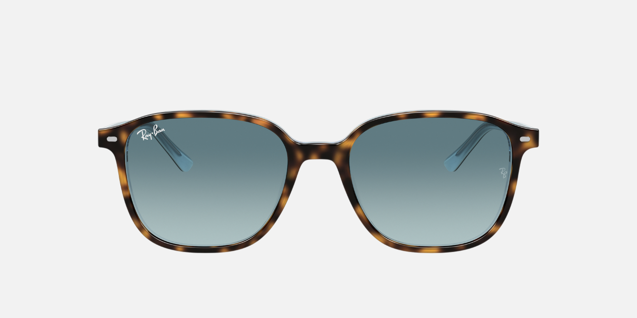 Ray-Ban Leonard RB2193