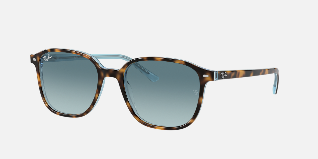 Ray-Ban Leonard RB2193