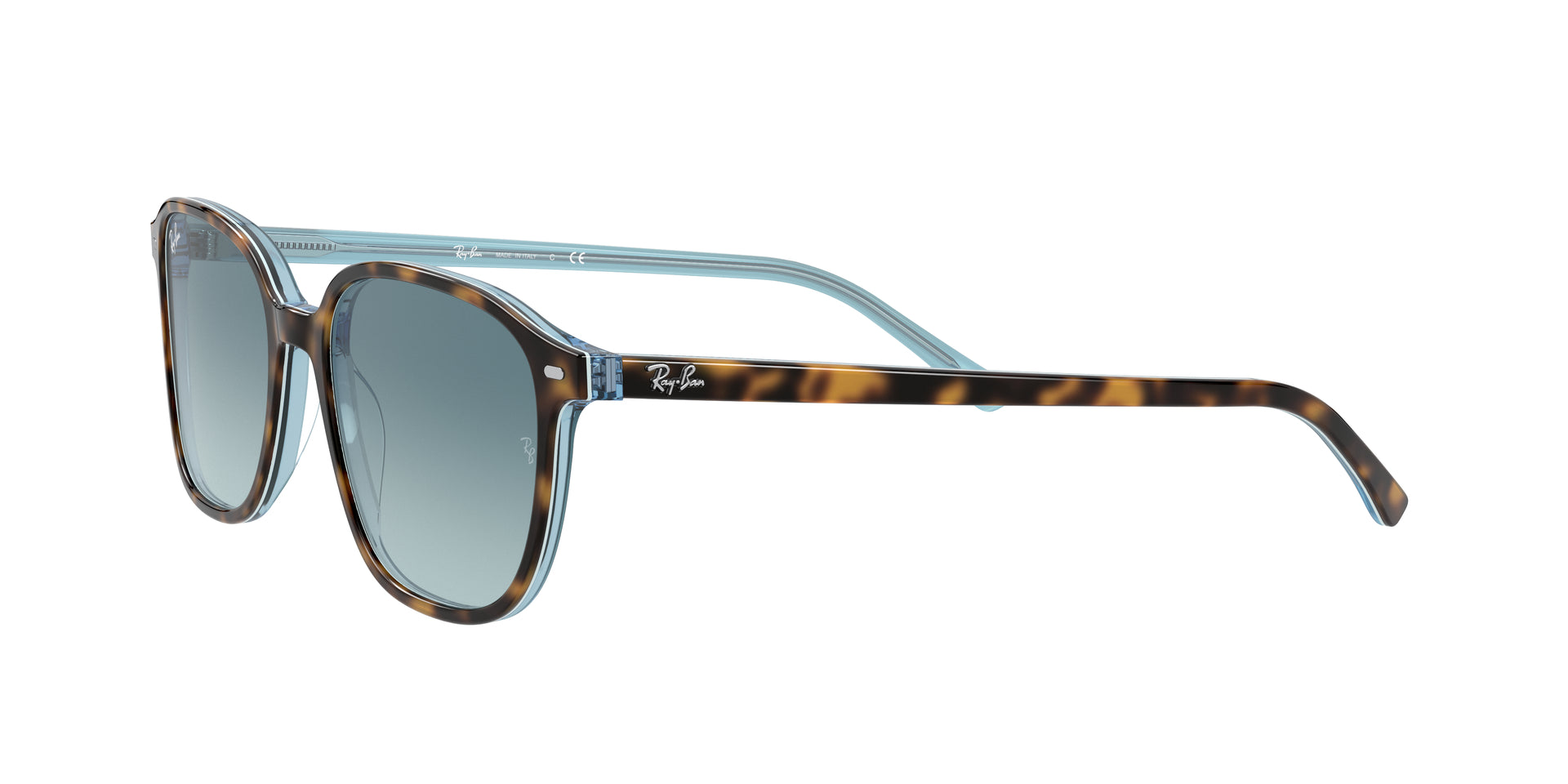 Ray-Ban Leonard RB2193