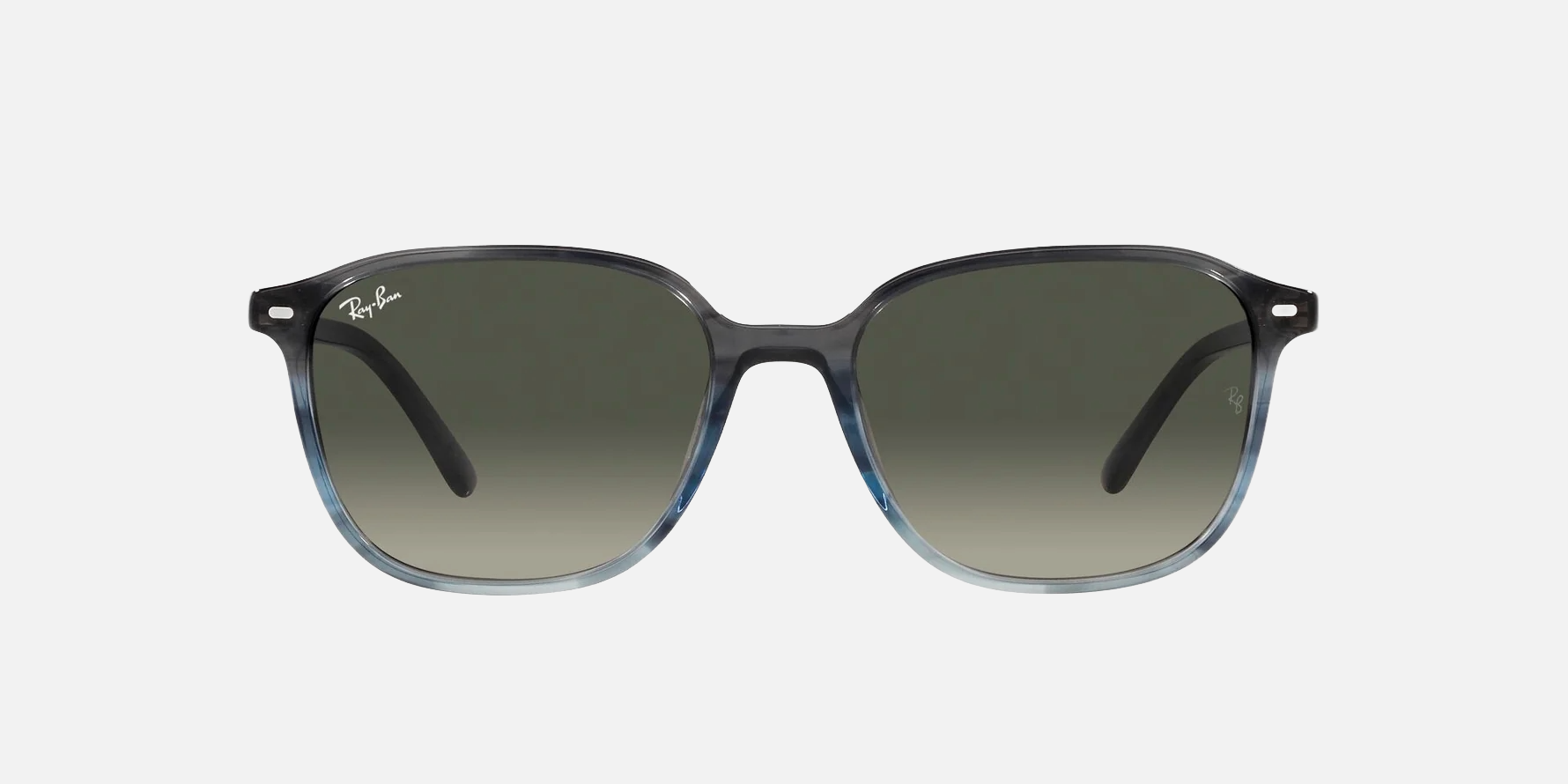 Ray-Ban Leonard RB2193