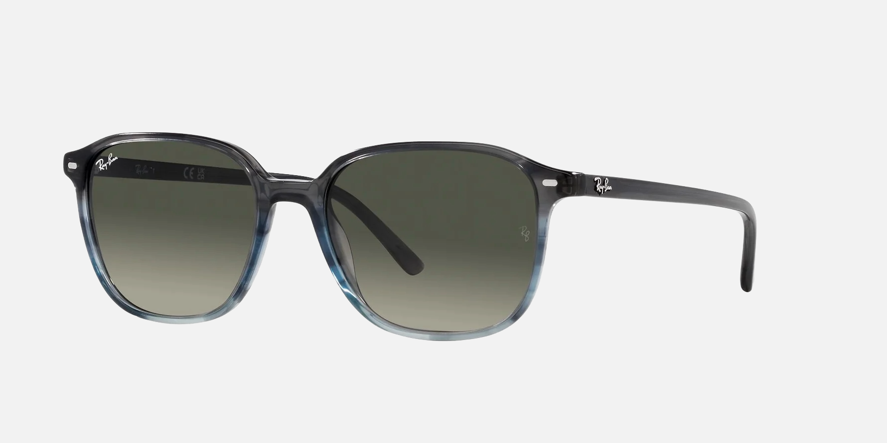 Ray-Ban Leonard RB2193