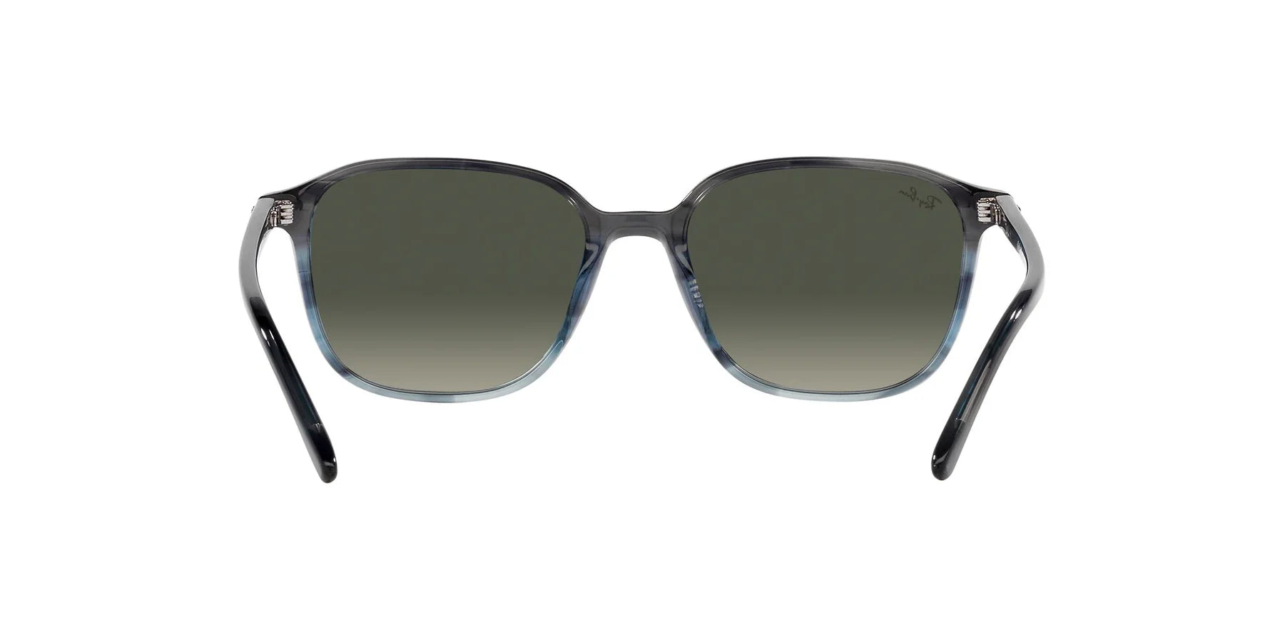 Ray-Ban Leonard RB2193