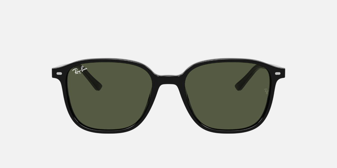 Ray-Ban Leonard RB2193