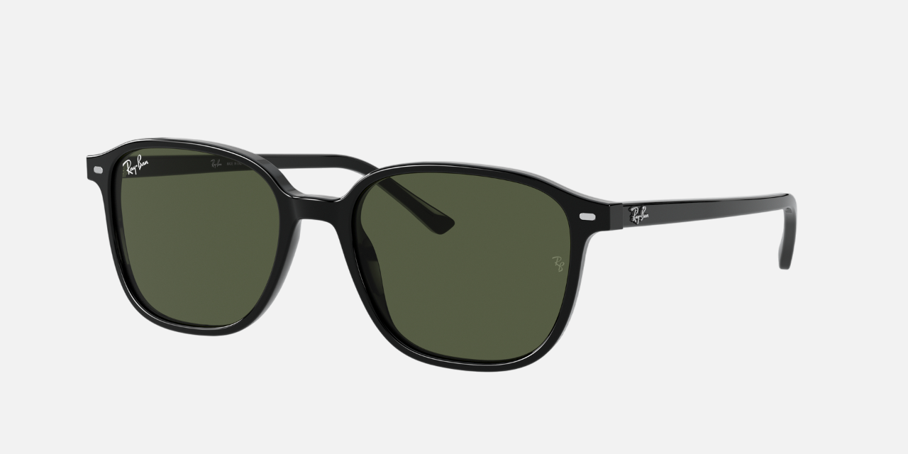 Ray-Ban Leonard RB2193