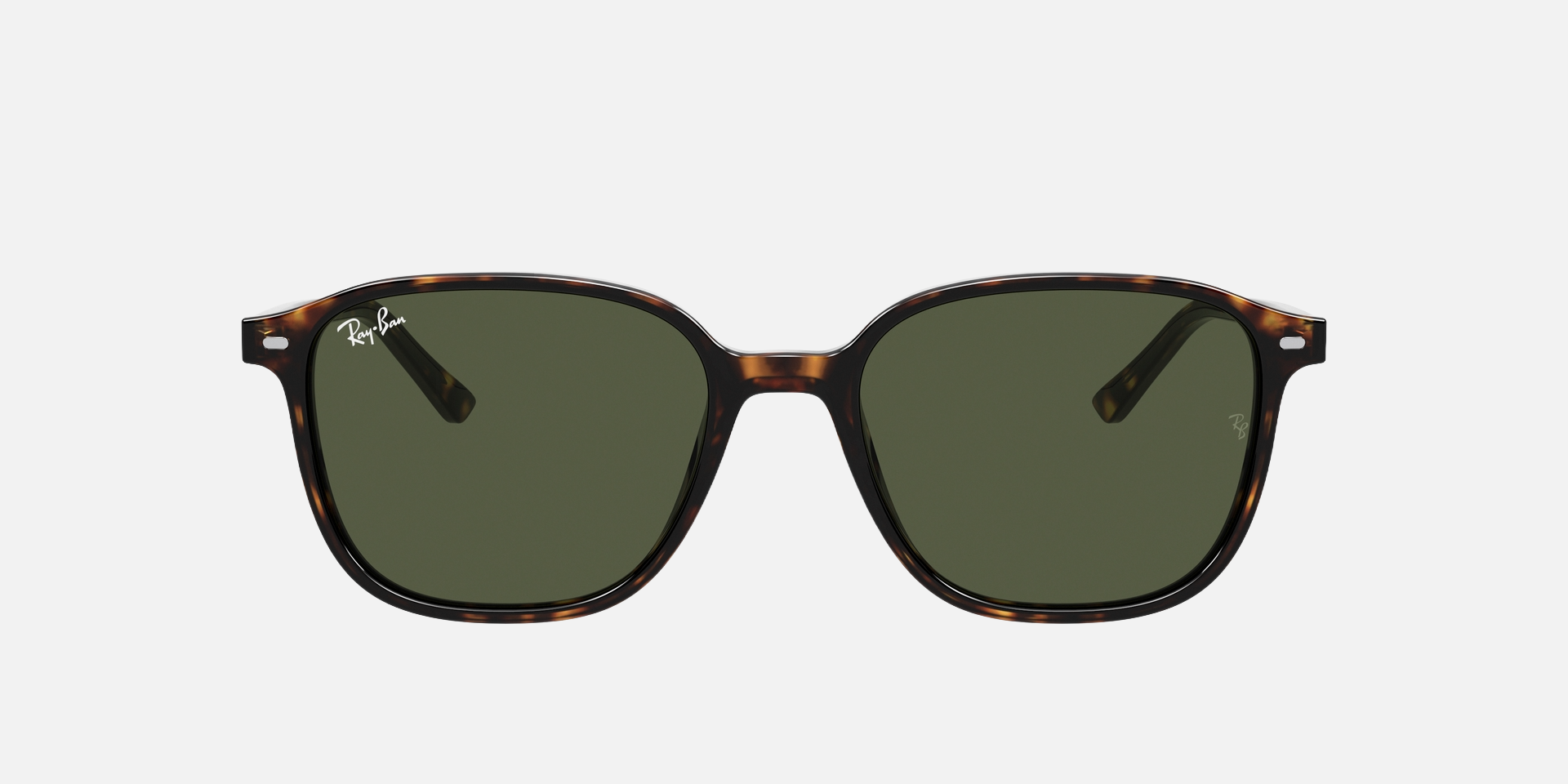 Ray-Ban Leonard RB2193