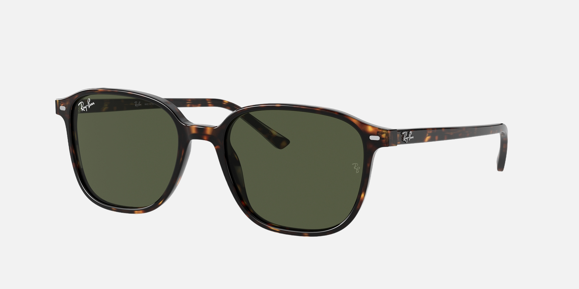 Ray-Ban Leonard RB2193