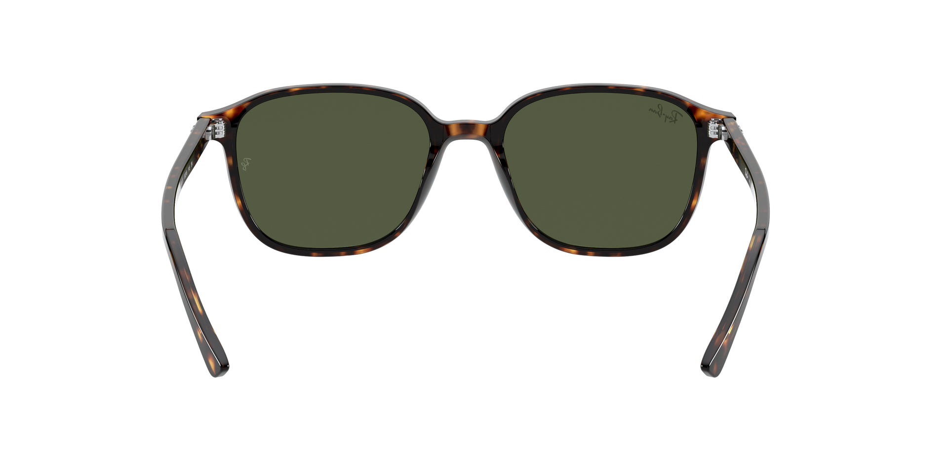 Ray-Ban Leonard RB2193