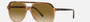 Ray-Ban Bill RB2198 129251 square sunglasses for unisex in full rim plastic, with havana on transparent brown frame, and light brown gradient lenses. 60mm in lens size, mm in bridge size, and mm in temple length.