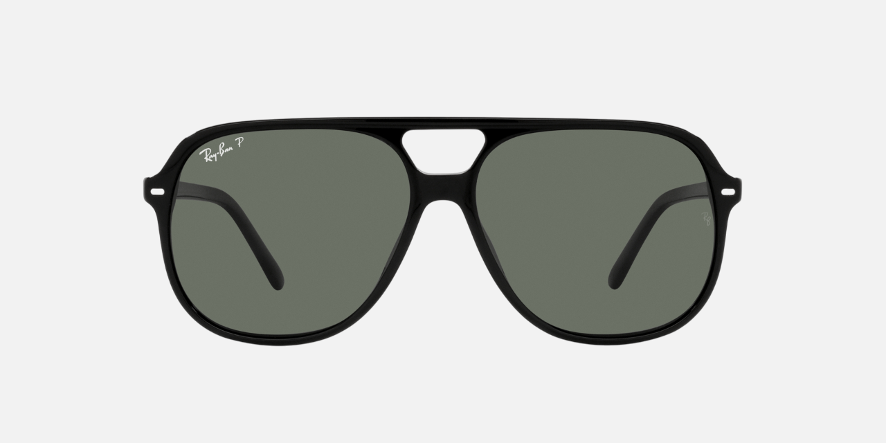 Ray-Ban Bill RB2198