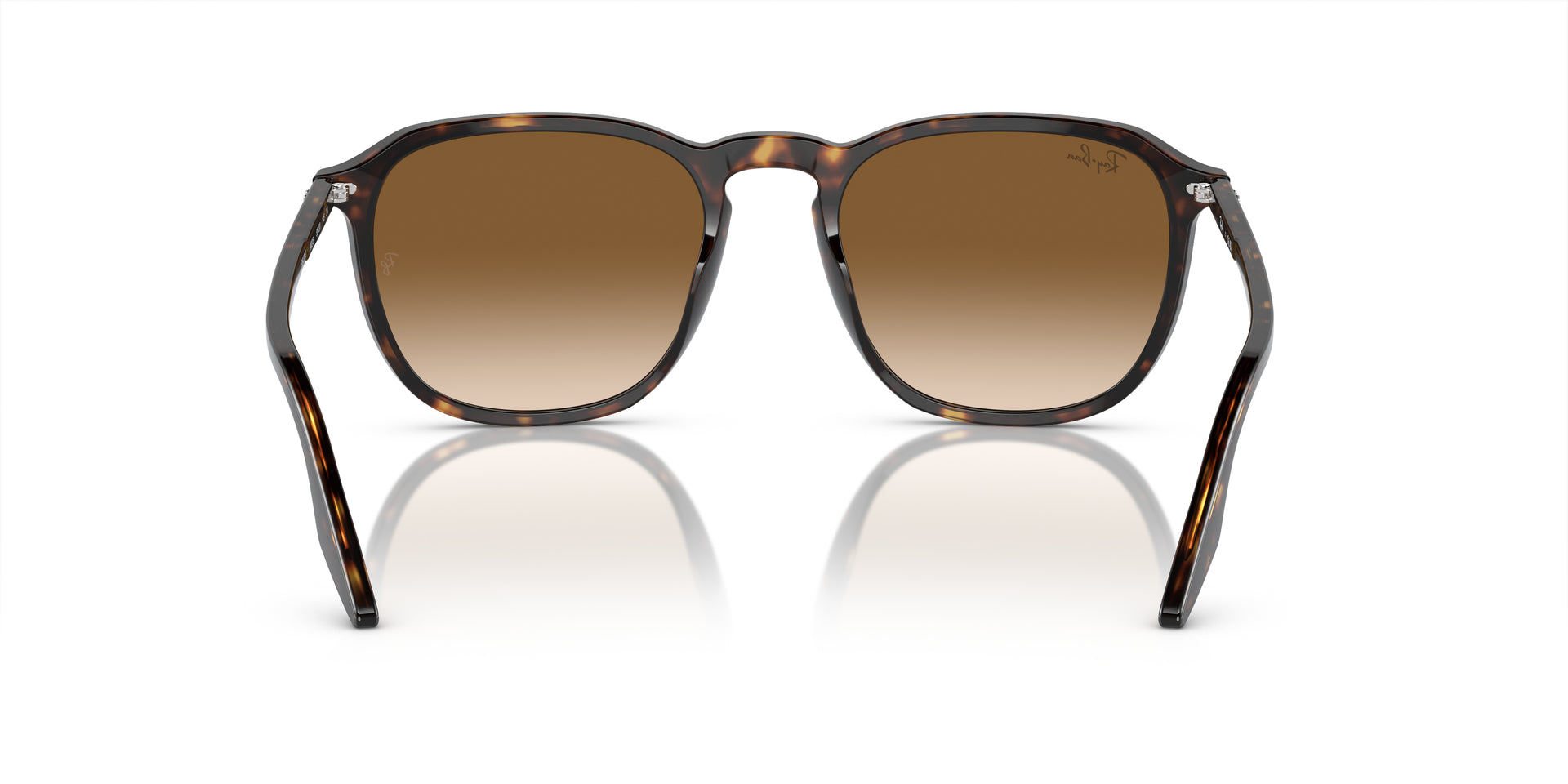 Ray-Ban RB2203