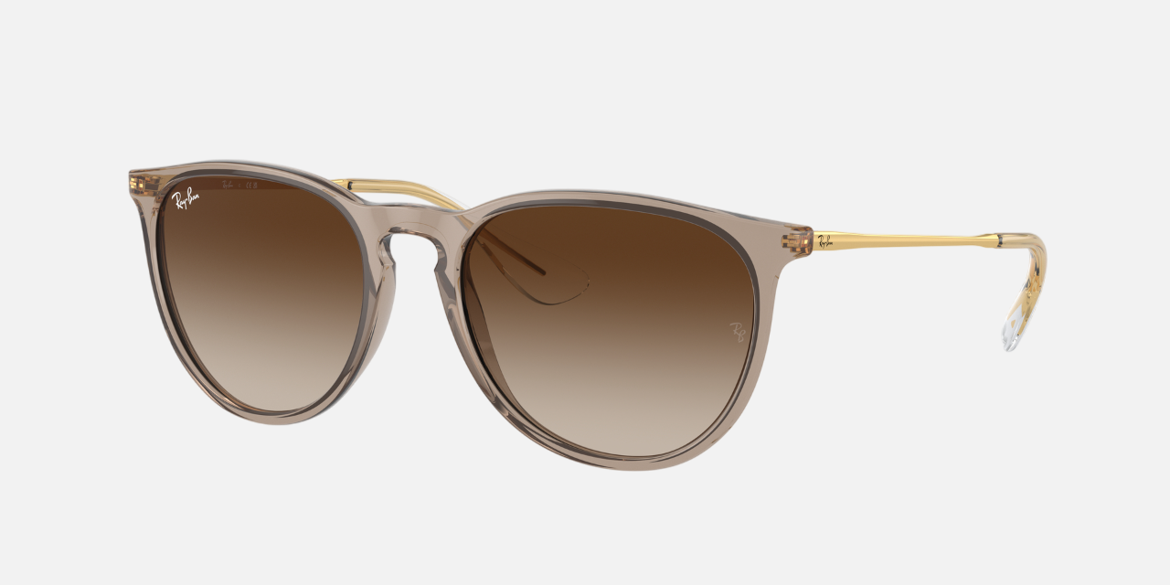 Ray-Ban Erika Classic RB4171