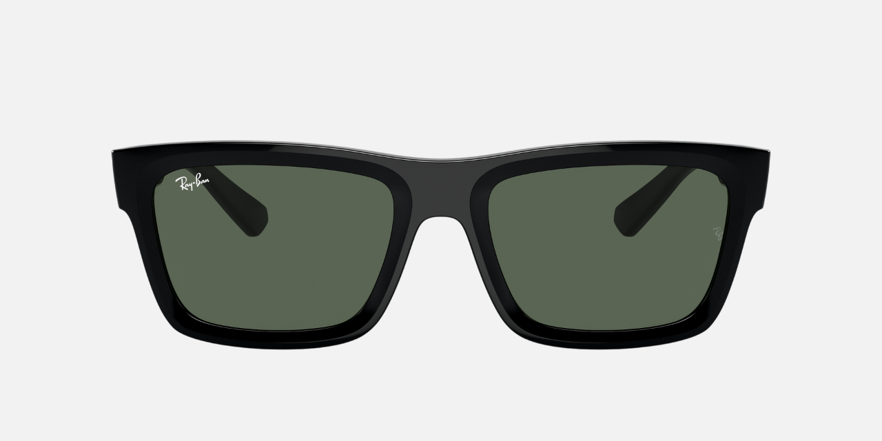 Ray-Ban Warren RB4396