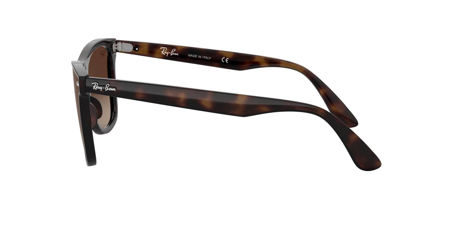Ray-Ban Blaze Wayfarer RB4440N