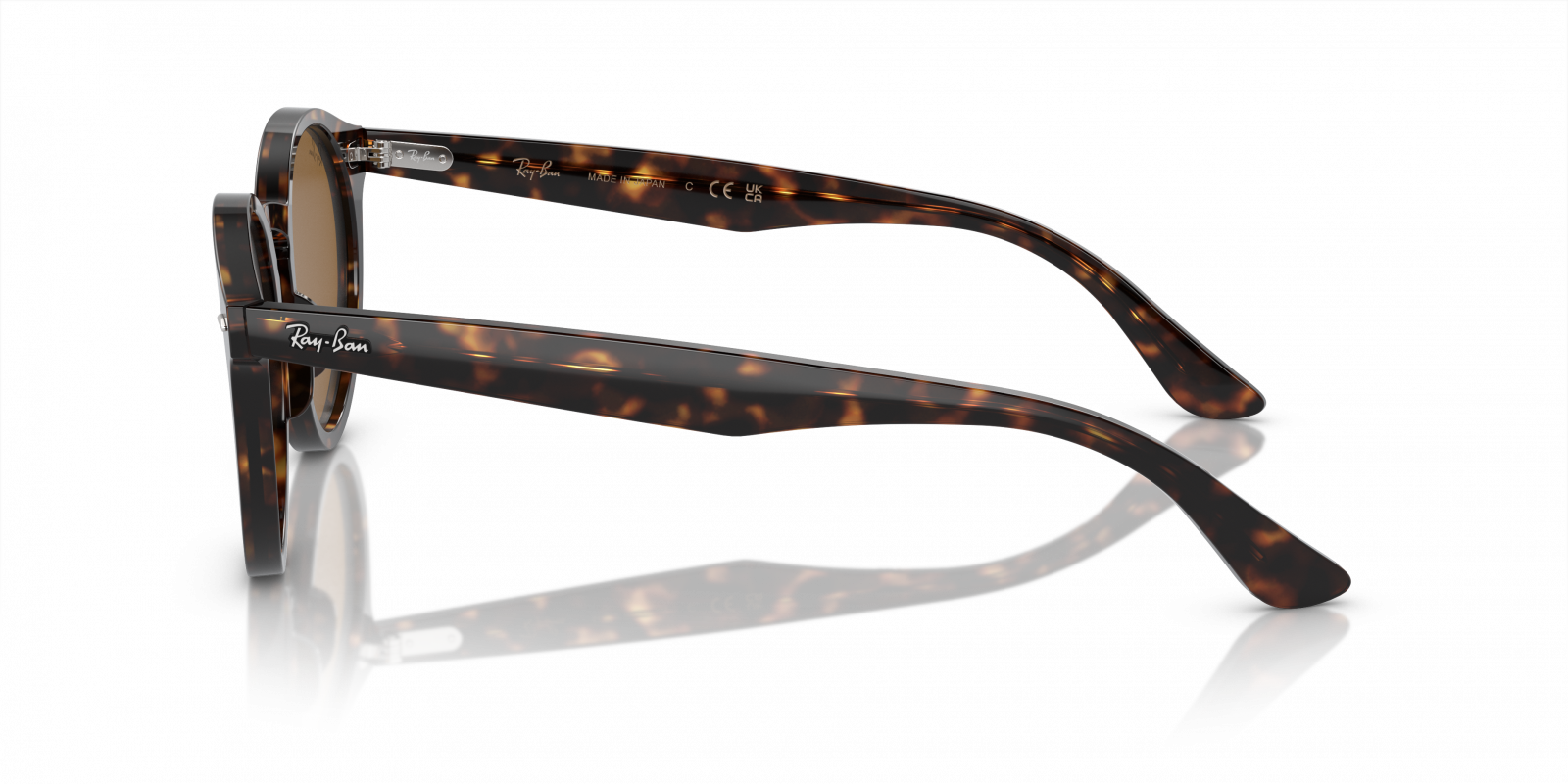Ray-Ban Larry RB7680S