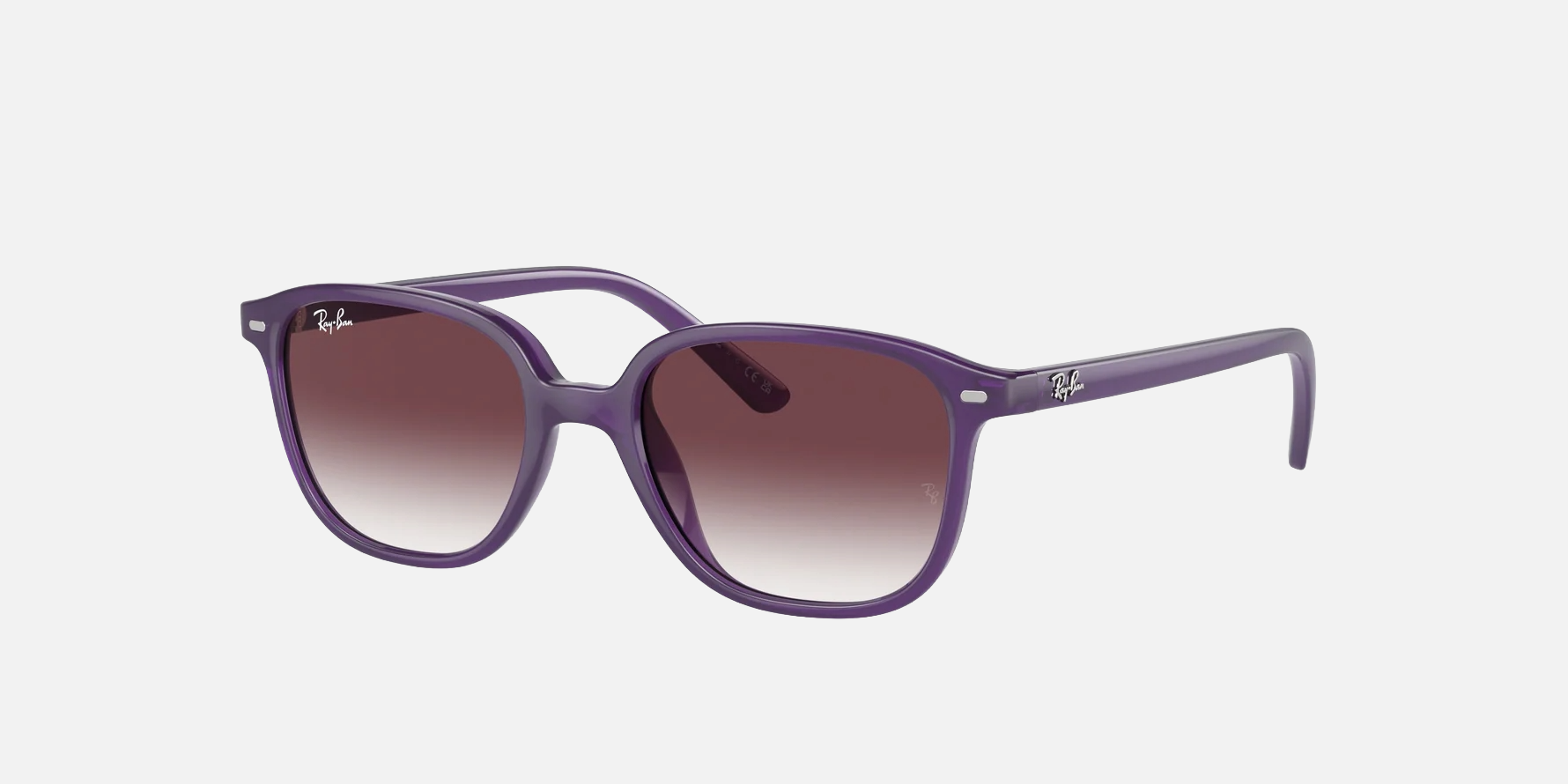 Ray-Ban Junior Leonard Kids RJ9093S