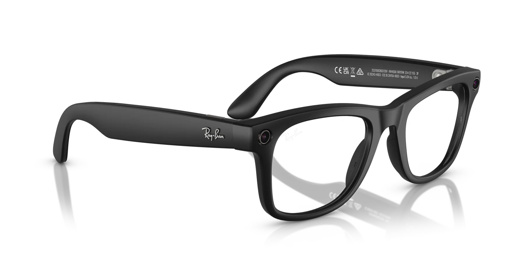 Ray-Ban Meta Wayfarer RW4008