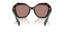 Prada PR 16WS 17N60B irregular sunglasses for women in full rim acetate, with dark havana frame, and light brown lenses. 53mm in lens size, 20mm in bridge size, and 145mm in temple length.