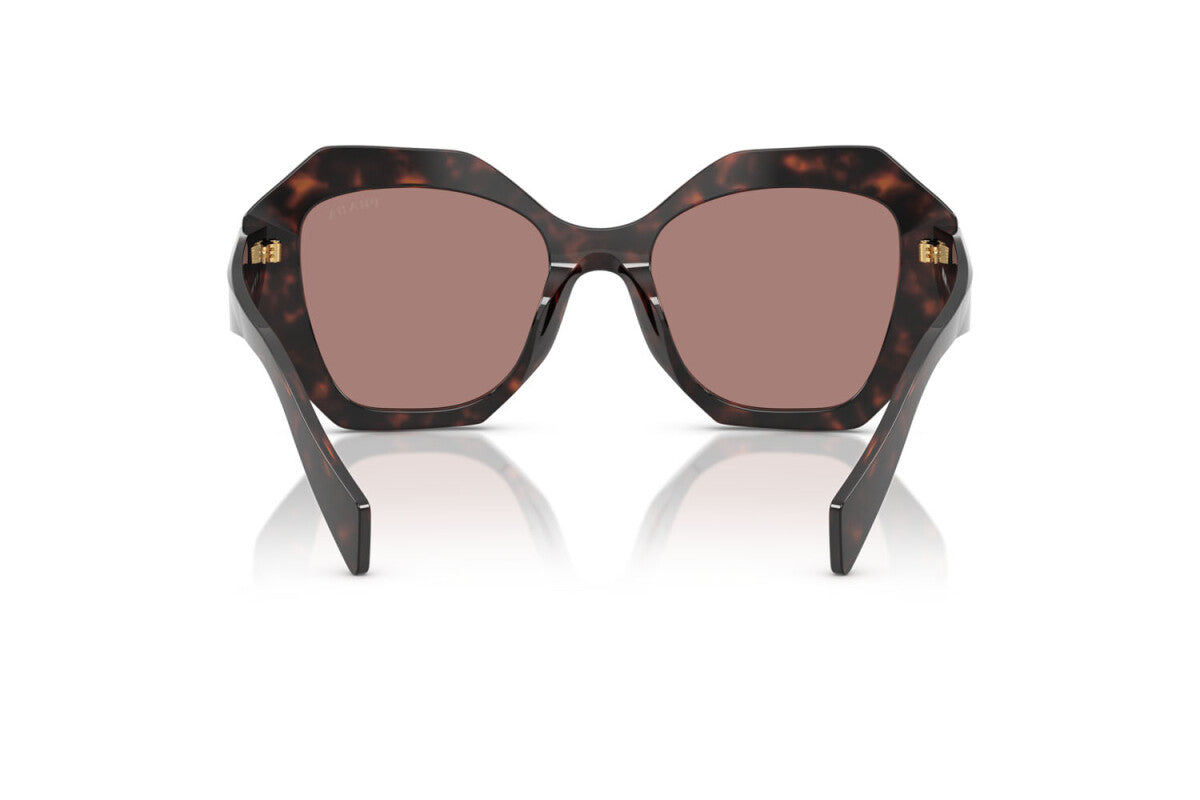 Prada PR 16WS 17N60B irregular sunglasses for women in full rim acetate, with dark havana frame, and light brown lenses. 53mm in lens size, 20mm in bridge size, and 145mm in temple length.