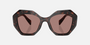 Prada PR 16WS 17N60B irregular sunglasses for women in full rim acetate, with dark havana frame, and light brown lenses. 53mm in lens size, 20mm in bridge size, and 145mm in temple length.