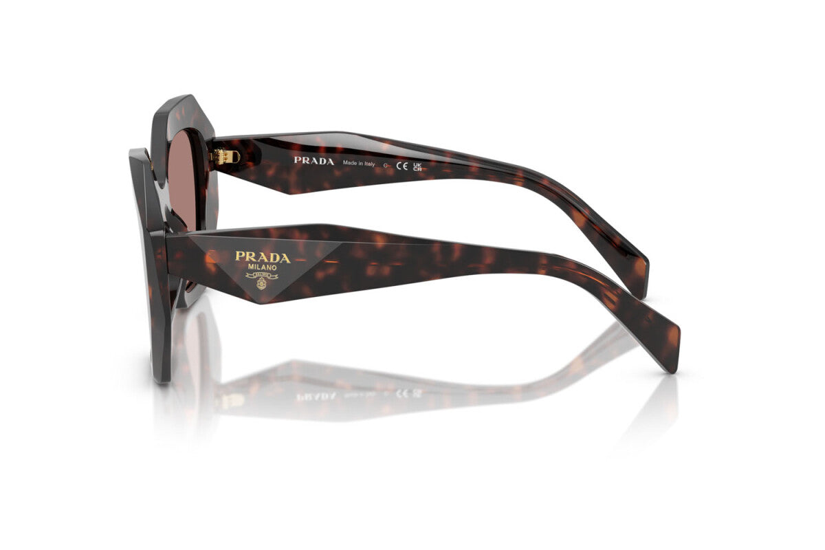 Prada PR 16WS 17N60B irregular sunglasses for women in full rim acetate, with dark havana frame, and light brown lenses. 53mm in lens size, 20mm in bridge size, and 145mm in temple length.