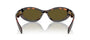 Prada PR 26ZS 14L09Z oval sunglasses for women in full rim acetate, with havana frame, and dark brown lenses. 55mm in lens size, 16mm in bridge size, and 145mm in temple length.