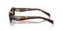Prada PR 26ZS 14L09Z oval sunglasses for women in full rim acetate, with havana frame, and dark brown lenses. 55mm in lens size, 16mm in bridge size, and 145mm in temple length.