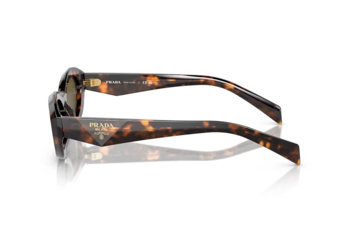 Prada PR 26ZS 14L09Z oval sunglasses for women in full rim acetate, with havana frame, and dark brown lenses. 55mm in lens size, 16mm in bridge size, and 145mm in temple length.