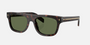 Prada PR B12S 17N20G square sunglasses for men in full rim acetate, with havana frame, and green lenses. 55mm in lens size, 19mm in bridge size, and 145mm in temple length.